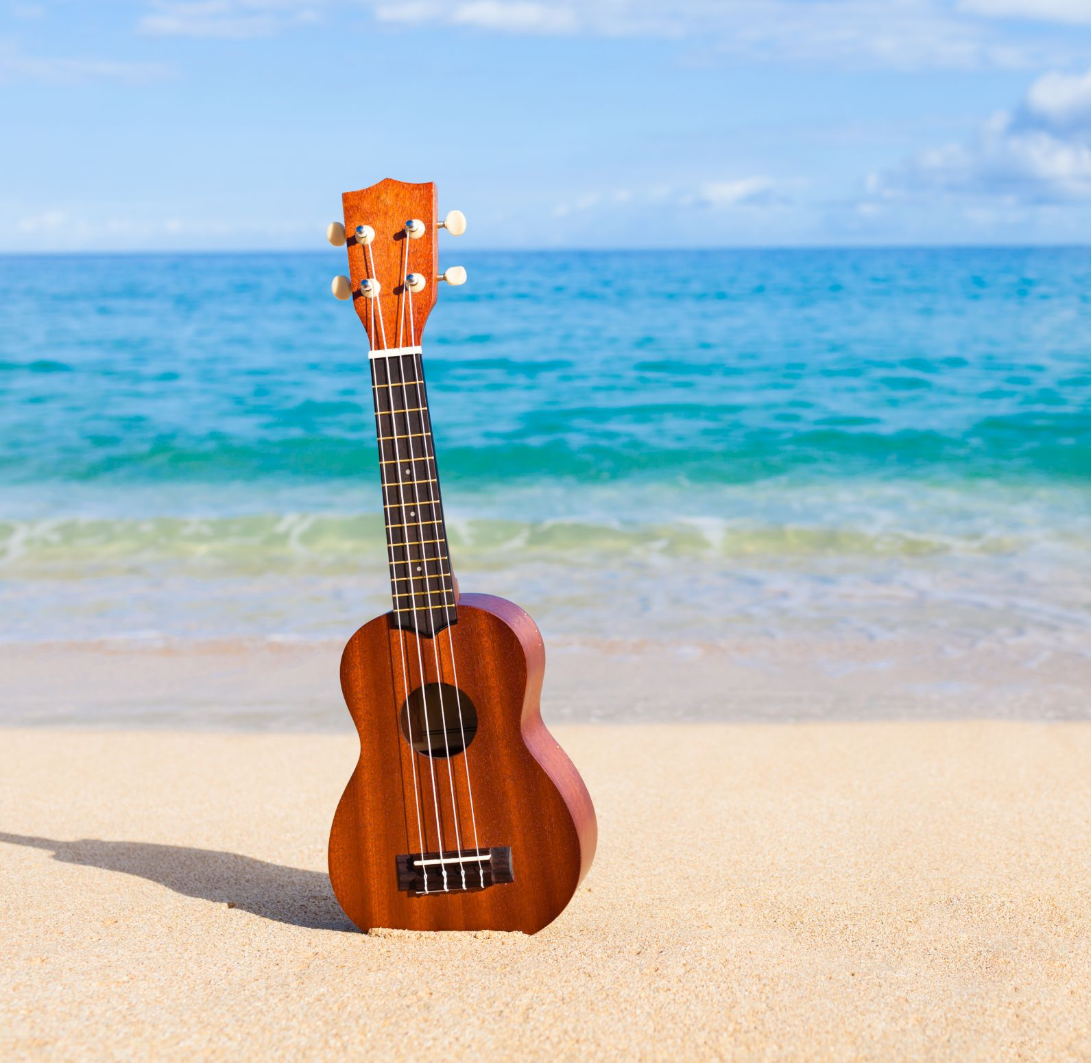 Ukulele